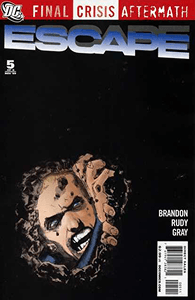 Final Crisis Aftermath: Escape #5