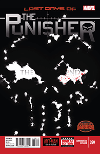 The Punisher #20