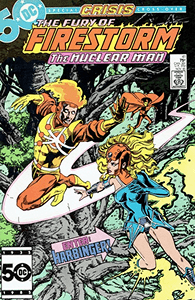 The Fury of Firestorm #41