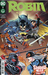 Robin #13