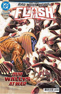 The Flash #22