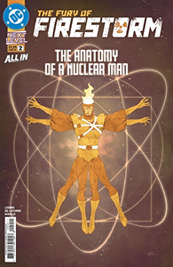 Cover of The Fury of Firestorm #2