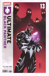 Cover of Ultimate Black Panther #13