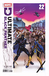 Cover of Ultimate Black Panther #22