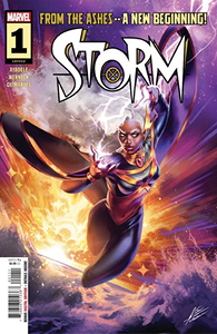 Cover of Storm #1