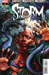 Cover of Storm #2
