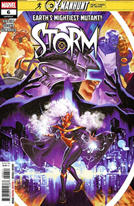 Cover of Storm #6