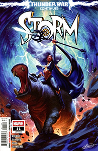 Cover of Storm #11